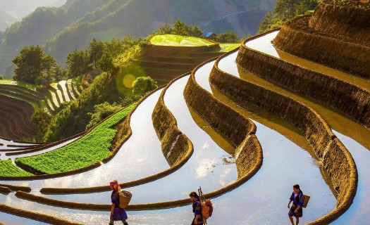 Vẻ đẹp nhân văn trong Triển lãm Mỹ thuật-Nhiếp ảnh "Sắc thu"